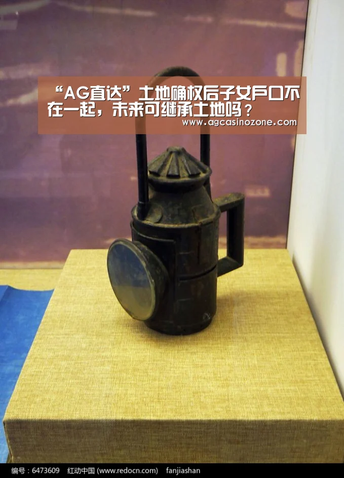 “AG直达”土地确权后子女户口不在一起,未来可继承土地吗?(图2) AG直达